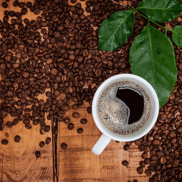 Café Especial
